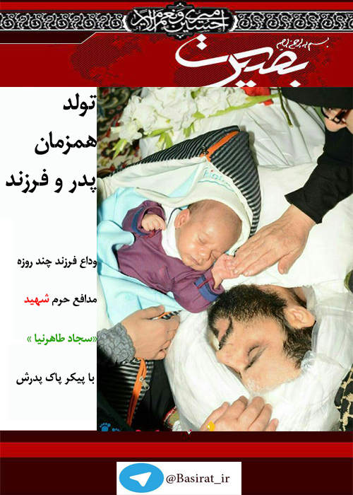 گزارش تصویری هفته دوم آبان ماه