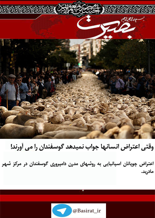 گزارش تصویری هفته دوم آبان ماه