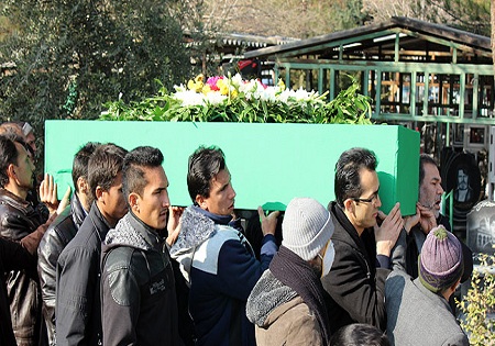 گلزار شهدای تهران میزبان یکی از شیردلان تیپ فاطمیون شد