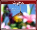 گزارش تصویری 21 مردادماه