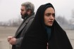 استقبال از نمايش خانگى فيلم سينمايى 