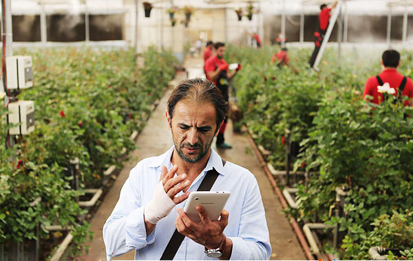 شگفتی های حداقلی در جشنواره ای به شدت کوچک شده