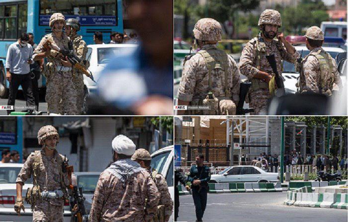 استفاده ابزاری آمریکایی‌ها از گاوهای شیری و گاوهای وحشی