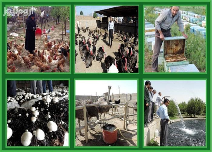 مقاومت در راه پیشرفت مقاومت در راه پیشرفت