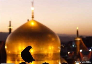 فیلم/نماهنگ امام رئوف