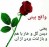 واقع‌بینی و امیدآفرینی از دیدگاه مقام معظم رهبری