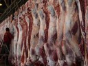 گوشت هست، اما چرا گران است؟!