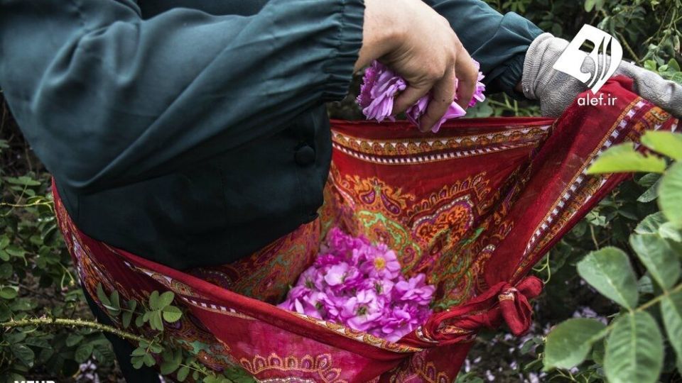 رویداد های تصویری