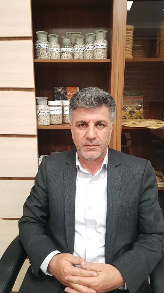 پنبه واردات پنبه را بايد زد!