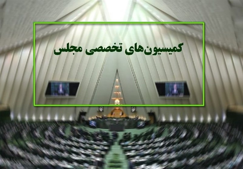 تعيين تکليف کميسيون هاي تخصصي مجلس