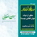 منظور از دولت جوان انقلابی چیست؟