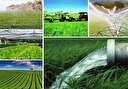 مزایای کشت فرا سرزمینی