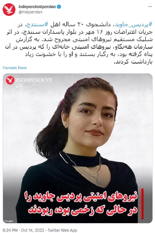 در اغتشاشات اخیر هیچکس توسط پلیس کشته نشد + سند در اغتشاشات اخیر هیچکس توسط پلیس کشته نشد + سند