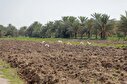 تصاویر/ قنوت فرات