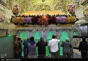 تصاویر/ بزرگداشت ولادت حضرت عبدالعظیم حسنی(ع)