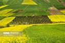 تصاویر/ منتخب تصاویر جمعه ۱۵ فروردین‌ماه ۱۴۰۴