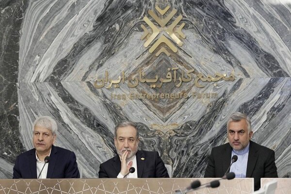 عراقچی: وزارت خارجه همکاری با شرکای خارجی را تسهیل می‌کند