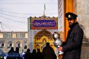 تصاویر/ منتخب تصاویر یکشنبه ۳۰ آذرماه ۱۴۰۴