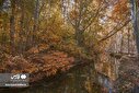 تصاویر/ منتخب تصاویر شنبه دهم آبان ماه ۱۴۰۴