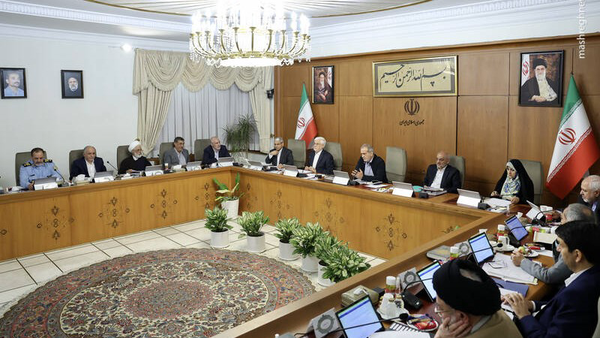 فلسفی: چند شرکت وارد کننده نهاده دولت را بازی می‌دهند