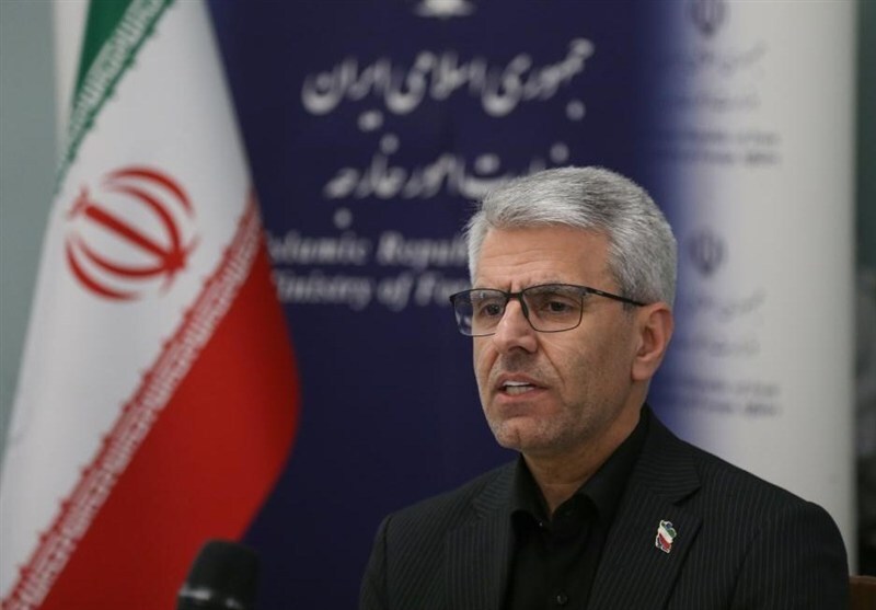 بقائی: از حدود ۱۰۰ کشور میهمانانی برای مراسم وداع با رهبر شهید داریم