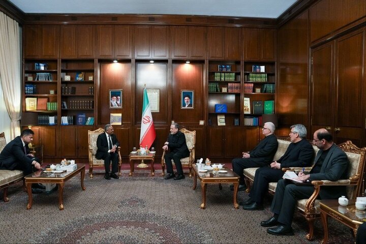 عراقچی از مواضع کشورهای اسلامی عضو دی ۸ قدردانی کرد
