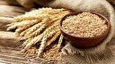 چگونه ایران الگوی مدیریت بحران غذا شد؟