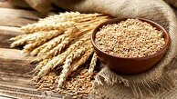 چگونه ایران الگوی مدیریت بحران غذا شد؟