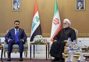 حجت الاسلام محسنی اژه‌ای: ایران با همسایگان خود هیچ خصومتی ندارد