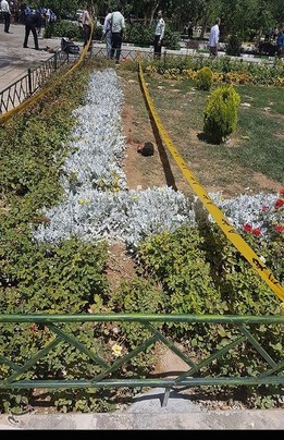 جداشدن سر یکی از تروریست ها پس از انفجار انتحاری خود
