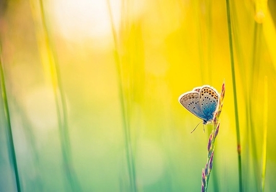  «شکوه نور» از Icemanphotos