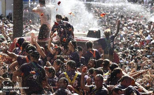 جشنواره سالانه گوجه فرنگی یا لا توماتینا در بونول اسپانیا برگزار شد. 