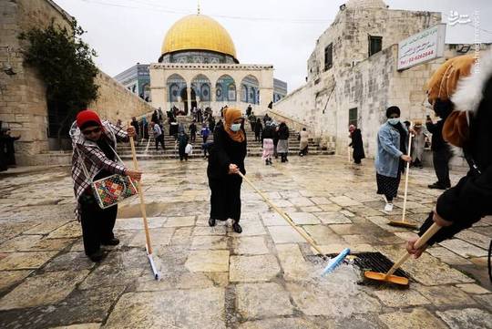 فلسطین