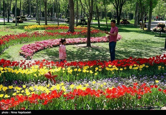 جشنواره گل‌های لاله - مشهد