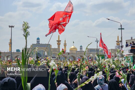 گلباران حرم مطهر رضوی در سالروز ولادت حضرت معصومه (س)
