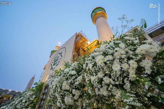 حرم مطهر مولا امیرالمومنین علی علیه‌السلام در ایام دهه ولایت و امامت توسط خادمان آستان مقدس گل‌آرایی شد.