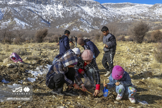 ۲۵۰ نفر از دوستداران طبیعت روز جمعه با حضور در رویشگاه مردمی دشت ارژن مبادرت به کاشت بذر بلوط کردند