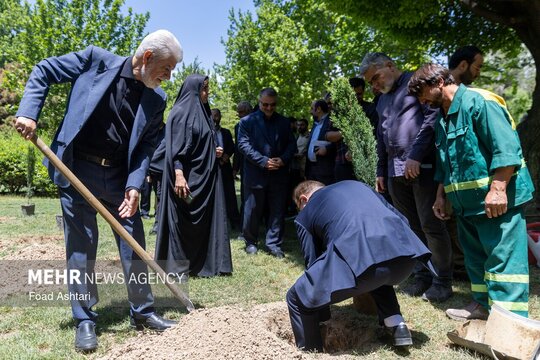 آیین غرس نهال در بوستان لاله به یاد شهدای کادر درمان و سلامت جنگ رمضان صبح روز یکشنبه در بوستان لاله تهران برگزار شد.