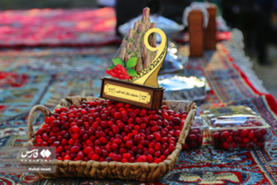 نهمین جشنواره زغال‌اخته کلیبر